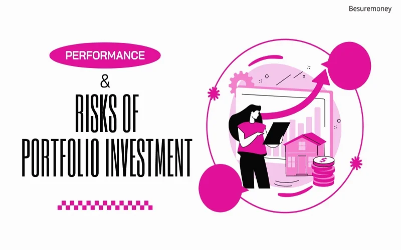Performance and Risks of Portfolio Investment Entities