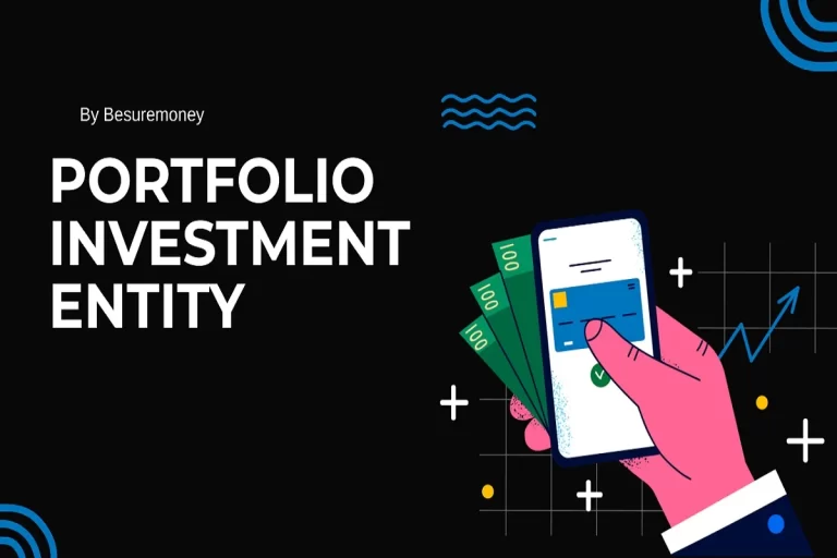 What Is Portfolio Investment Entity?