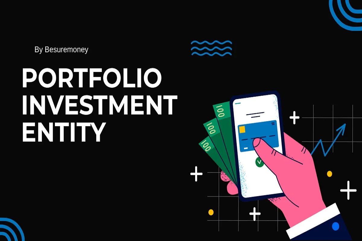 Portfolio Investment Entity